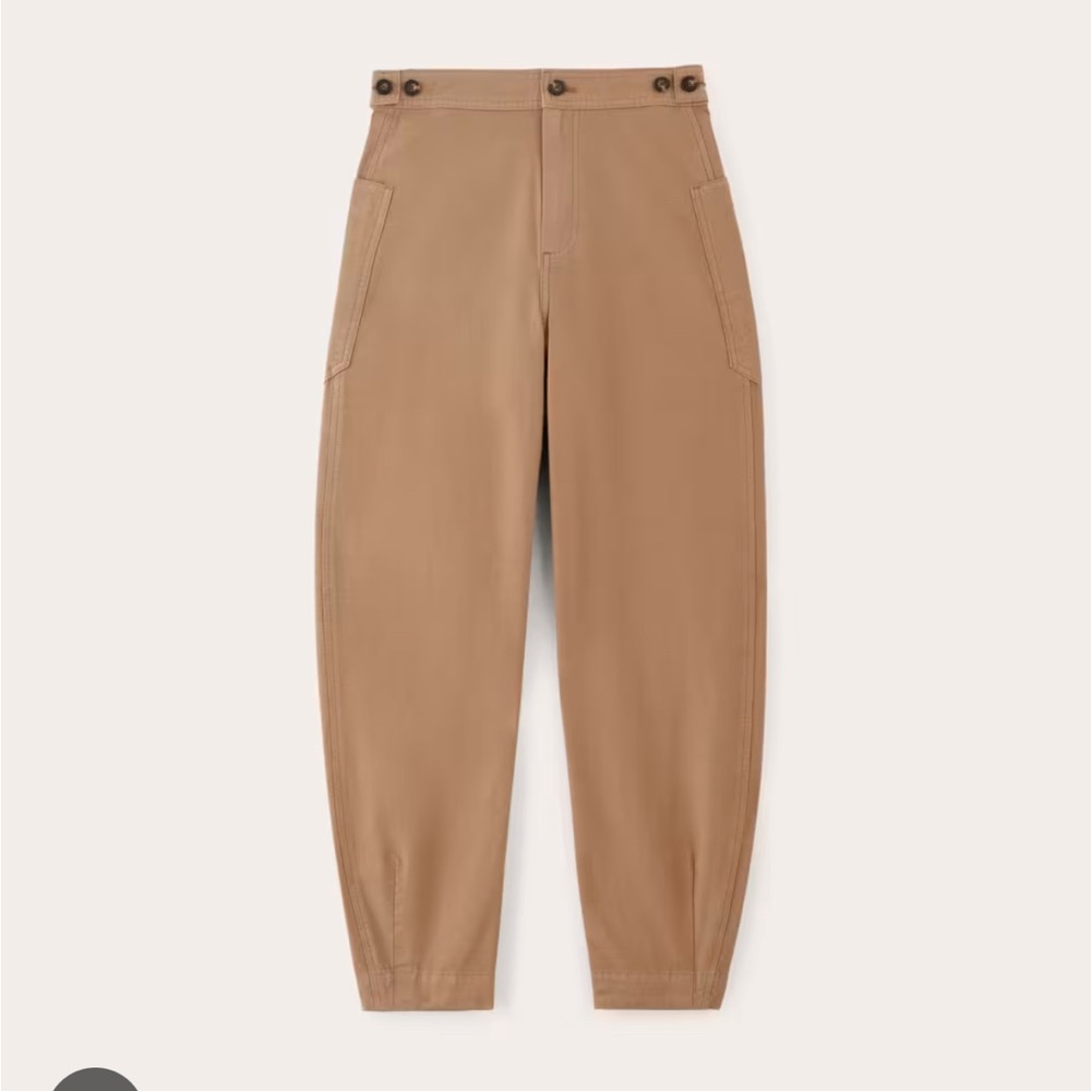 Everlane Brown Fatigue Barrel pants tan 12 NWT